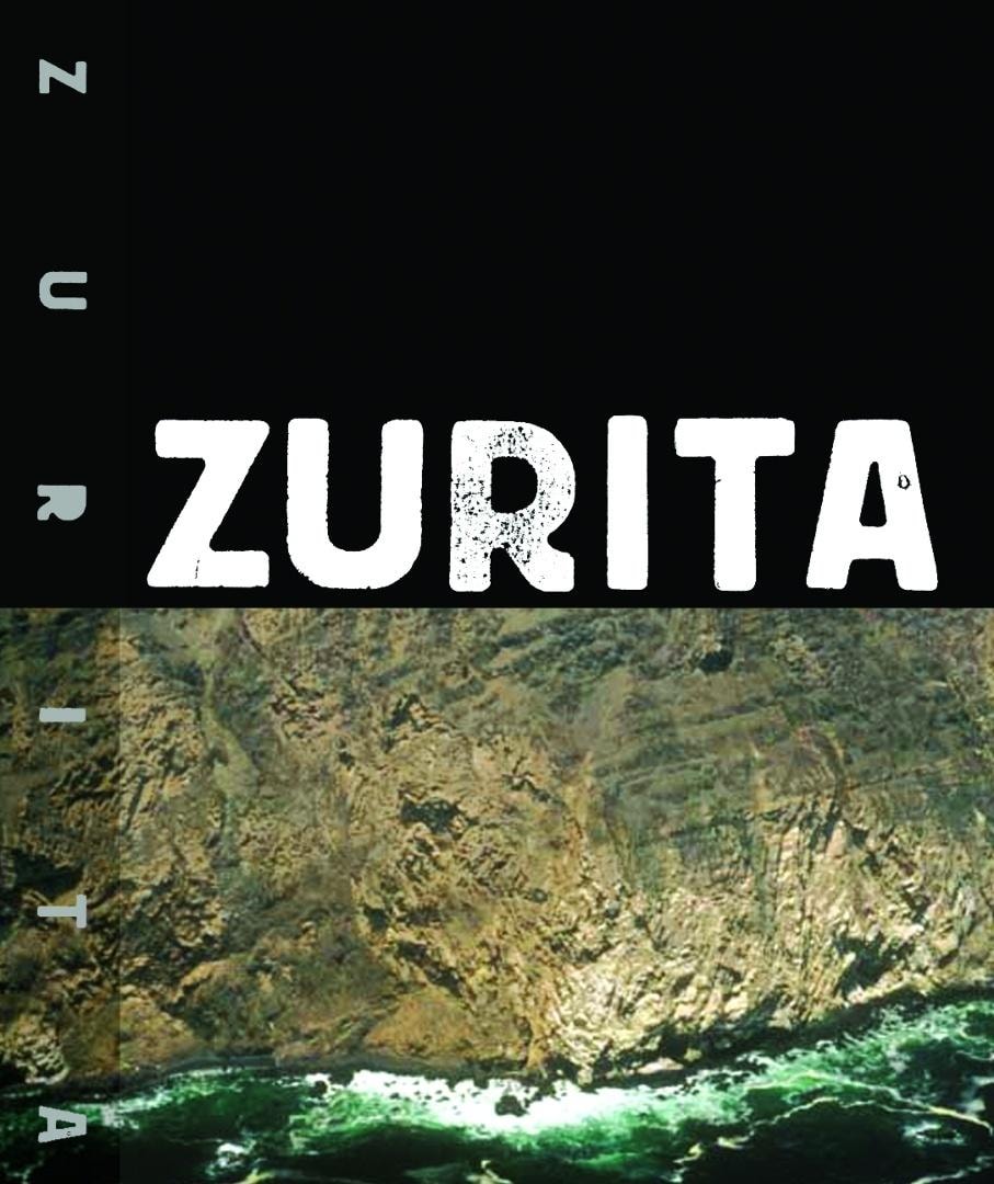 Zurita - Raul Zurita - Chilean poetry book about history and pain