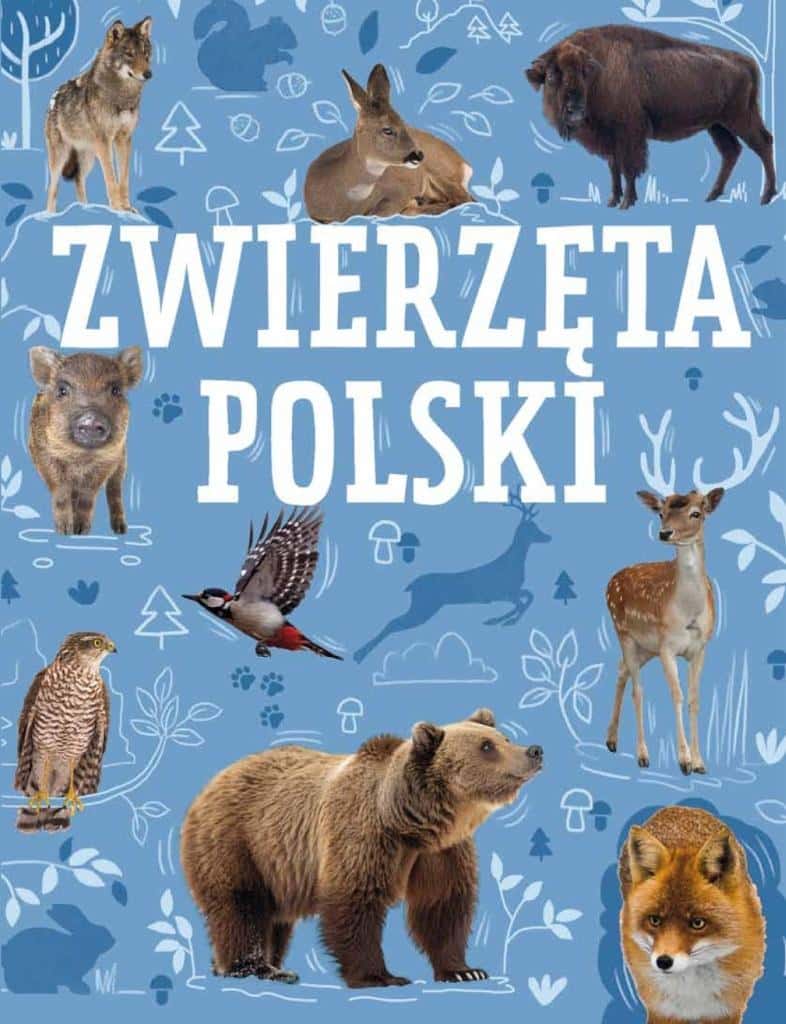 Animals of Poland - a fascinating book about Polish fauna