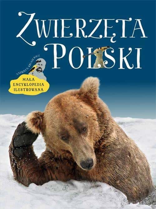 Multico Animals of Poland - Illustrated encyclopedia for children and adults