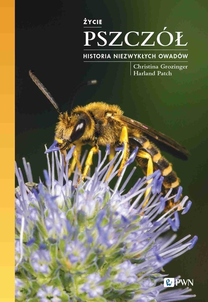 The Life of Bees - The Story of Extraordinary Insects - Christina Grozinger, Harland Patch